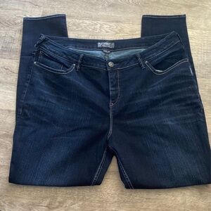 Silver Jeans Blue Skinny Jeans with Stretch